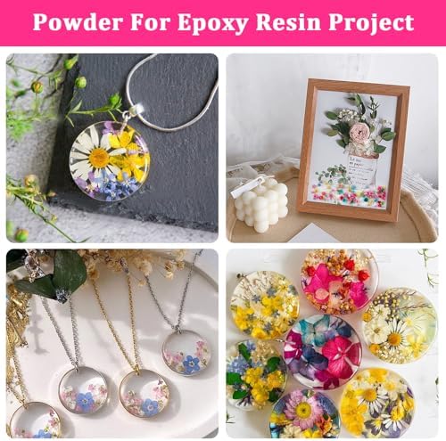 Mini Dried Flowers for Resin,520 Pcs Small Dried Flowers for Crafts