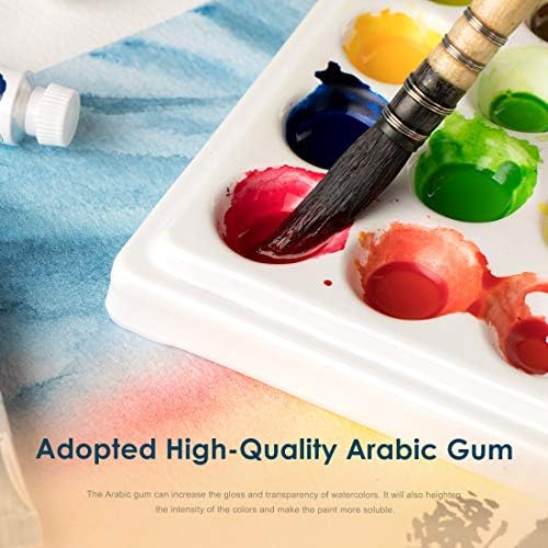 Paul Rubens Watercolor Paint, 24 Vibrant Colors Highly Pigmented, 5ml Tube