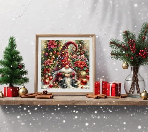 WNPOKN Christmas Gnome Diamond Art Kits for Adults 14 x 14inch