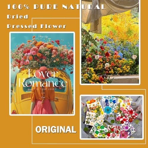 MIKIYA 182Pcs Dried Pressed Flowers for Resin Molds, Assorted Real Natural Bulk Dry Floral Leaves for DIY Art Crafts, Epoxy Jewelry, Candle, Soap Making, Nails Decors Gifts