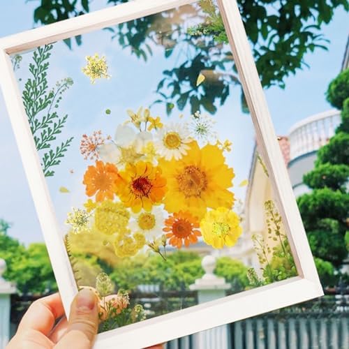 Cayway 2 Pack Pressed Flowers Natural Dried Flowers Black Resin Flowers Real Pressed Flowers with Butterfly Sticker for Resin Scrapbook DIY Art Crafts, Epoxy Resin Jewelry Supplies, Style E