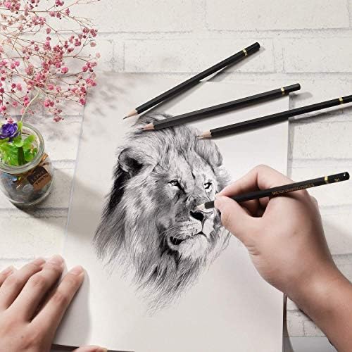 Sketching Pencil Set - 24 Pieces Drawing Sketch Pencil HB,B,2B,3B,4B,5B,6B,7B,8B,10B,12B,14B,H,2H,3H,4H,5H,6H,7H, Includes Charcoal, Eraser, Graphite Pencils for Beginners & Pro Artists