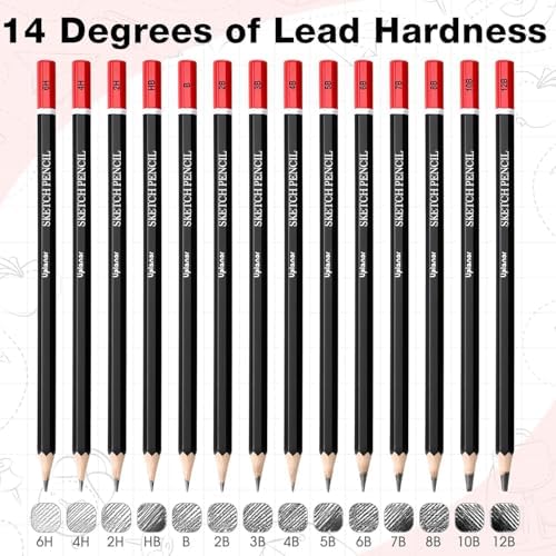 Professional Sketch Pencil Set, 14 Piece Drawing Pencils (12B-6H), Graphite Charcoal Art Pencils with Eraser and Sharpener in Metal Tin Case