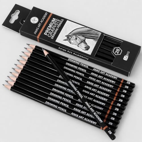 2B Premium Graphite Drawing Pencils - 12 pcs | Professional Art Drawing Pencils for Shading, Sketching & Doodling | Graphite Pencil for Artists & Beginners