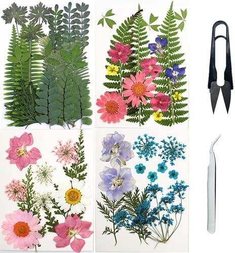 Cayway Natural Dried Pressed Flowers, Natural Dried Pressed Leaves, Natural Dry Flowers Leaves with Tweezers, Scissors for Pressed Leaf Art Craft DIY Embellishment Decorations (Green Pink Blue)