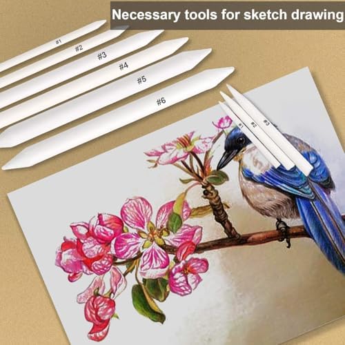 FEBSNOW 48Pcs Blending Stumps and Tortillions Sticks for Art Drawing