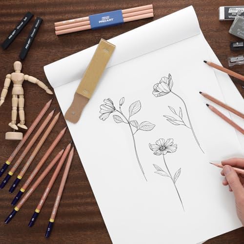 PRO ART Pencils All In One Drawing Kit, Drawing Pencils, Sketch Pencils, Kit, Charcoal Pencils Set, Art Sketching, Pencil Set, Sketching for
