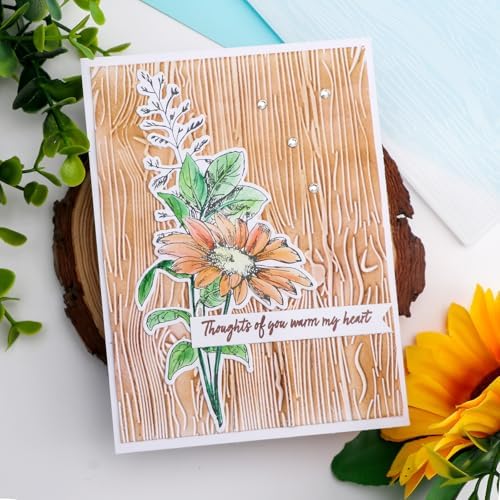 BAOFALI 3D Embossing Folder for Card Making,Wood Grain Plastic Texture Fades Embossing Folder Template for Scrapbooking Cardstock Album DIY Decoration Paper Crafting 5.9x5.9inch