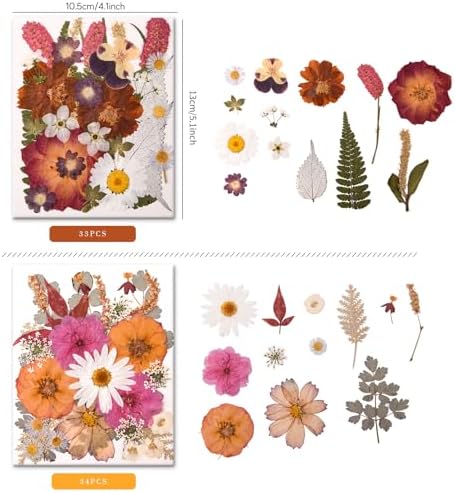 100 PCS Cream Color Pressed Dried Flowers & Leaves | Real Natural Dried Flowers, With Tweezers, For Resin, Candle, Jewelry, Scrapbooking & DIY Crafts