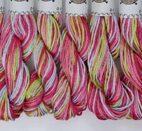 KCS Big skeins of 25 Meters Size 25 Color Variegated Cross Stitch Stranded Threads,6 skeins,4502