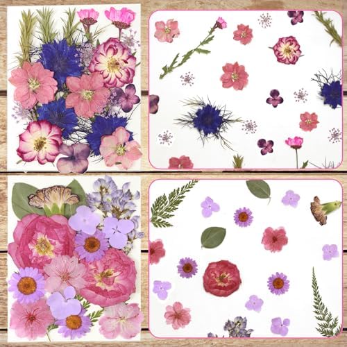 Dried Flowers for Resin Vacuum Packed DIY Pressed Flowers
