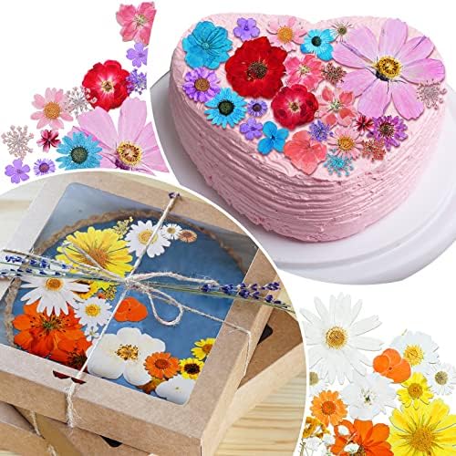 Nuanchu Natural Large Dried Pressed Flowers for Craft Resin DIY