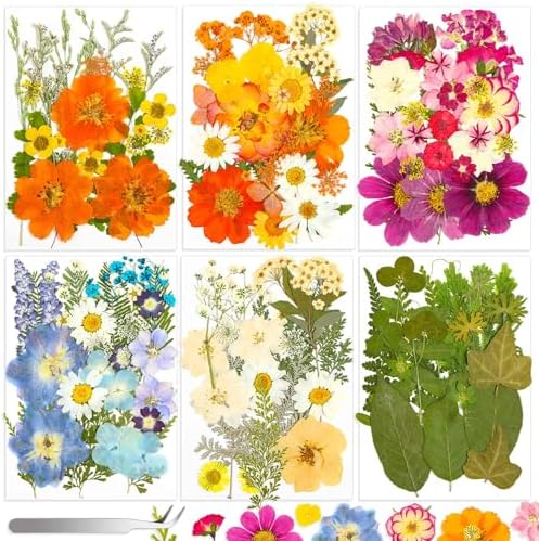 Evatage 155 Pcs Real Dried Pressed Flowers and Leaves for Resin Crafts