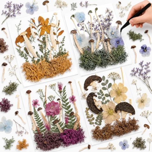 Nuanchu Dried Flowers Pressed Mushrooms for Resin Molds Crafts DIY Supplies