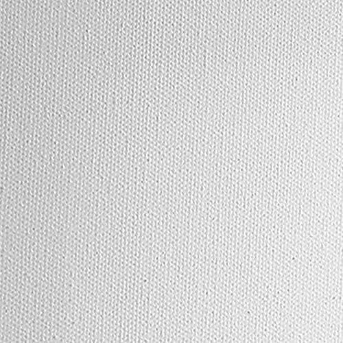 Practica Economy Stretched Cotton Canvas - Acid-Free Acrylic Primed Canvas for Acrylics, Pastels, Graphite, & More! - [2-Pack - 9x12]