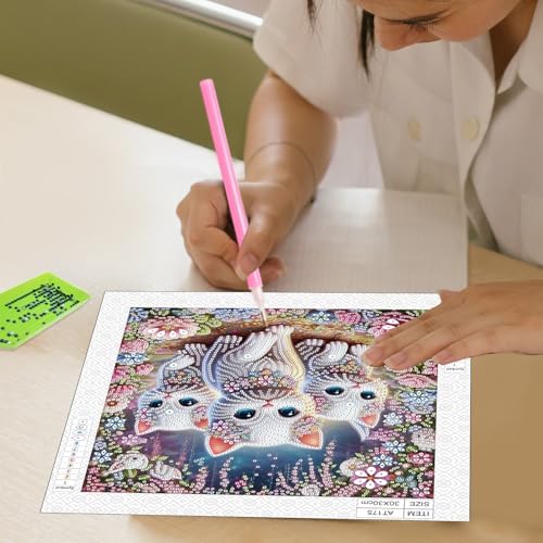 AiYuanzsh DIY Diamond Art Painting Kits for Adults, 5D Special Shape Crystal Rhinestone Diamond Art Kits for Beginners, for Home Wall Decoration Gift 12x12 inch, Cute Cats