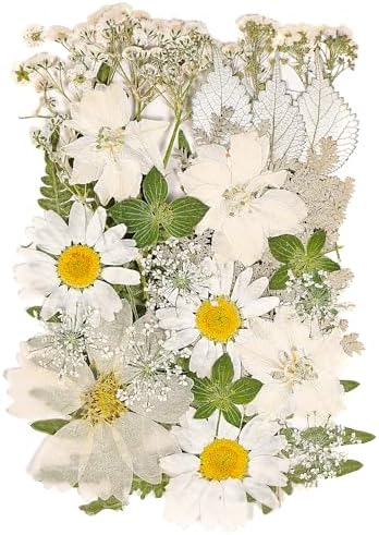 White Dried Pressed Flowers for Crafts,Real Natural Dried Flowers and Leaves for Resin Mold Scrapbooking DIY Candle Making Gifts（Modern Style）