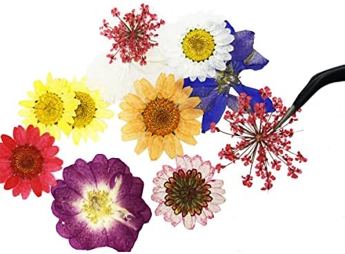 Cayway 42 Pcs Real Pressed Flowers Dry with Tweezers Set, Dried Pressed Flowers Colorful Real Pressed Flowers for Resin Scrapbooking DIY Art Crafts, Epoxy Resin Jewelry, Soap Making