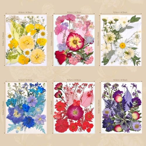 150 Pcs Dried Pressed Flowers for Resin