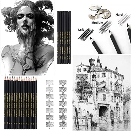 Heshengping 31 Drawing Sketching Pencils Kit, Portable Artist Supples Travel Case Set has Graphite, Charcoal, white color pencil, Blending Stump, gift for Adults Beginners for Drawing Sketch