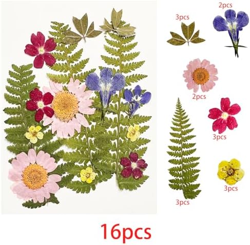 Cayway Natural Dried Pressed Flowers, Natural Dried Pressed Leaves, Natural Dry Flowers Leaves with Tweezers, Scissors for Pressed Leaf Art Craft DIY Embellishment Decorations (Green Pink Blue)