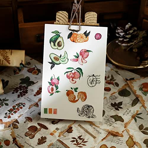 Dizdkizd Nature Botanical Stickers for Journaling, Ephemera Sticker Book, Translucent Washi Sticker for Scrapbooking - 20 Sheets (200 Pieces)