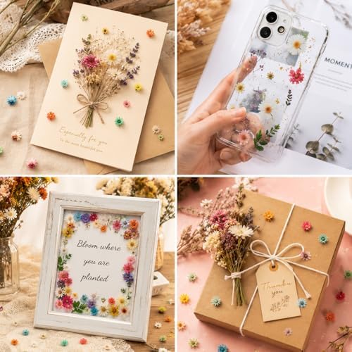 300 Pcs Mini Dried Flowers for Resin, Small Dried Flowers for Crafts