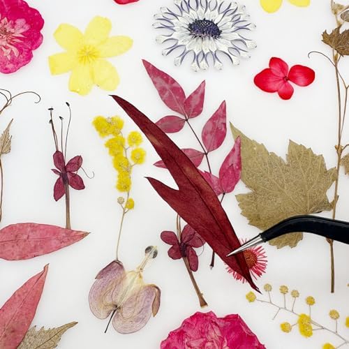 Cayway 4 Pack Natural Dried Pressed Flowers for Resin, Scrapbook, DIY Art Crafts, Epoxy Jewelry, Card Making Supplies - Colorful Real Flowers, Style F