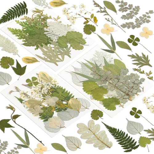 163 Pcs Dried Pressed Flowers for Resin Crafts, Real Natural Pressed Flowers and Leaves Kit Butterfly Stickers Vacuum Sealed Dry Flowers for DIY Epoxy Resin Jewelry Molds, Candle Soap Making, Nail Art
