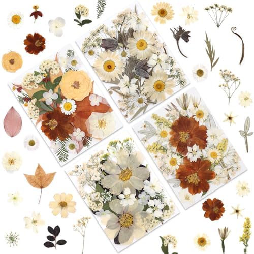 LUXEEASE 100P Vintage Cream Brown Dried Pressed Flowers | Earthy warm palette, maple, silver greenery, curly twigs, for resin jewelry scrapbook wedding frame candle, tweezers included