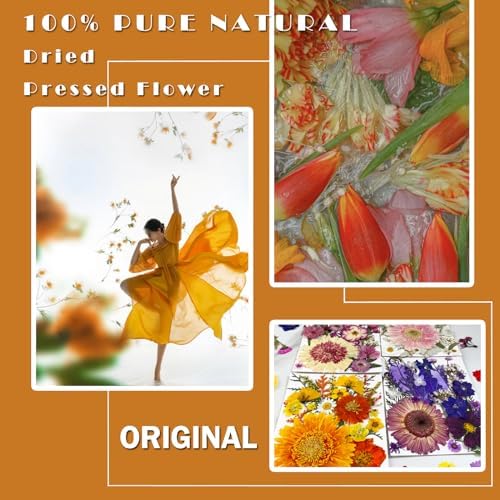 MIKIYA 98Pcs Pressed Dried Flowers for Resin Molds, Real Natural Bulk Big Dry Floral Leave for DIY Art Crafts, Epoxy Jewelry, Candle, Soap Making, Nails Decors