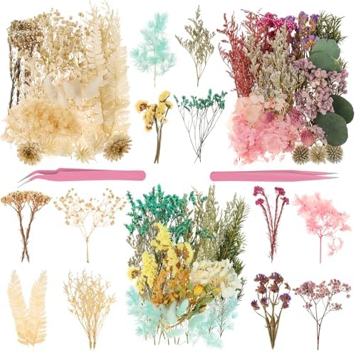 Real Dried Flowers 100% Natural Dried Flowers, Mixed Colors Dried Leaf Flowers for DIY Arts and Crafts Candles Resin Jewelry Nail Pendant Cards Scrapbooking Wedding Home Decoration (Blue)