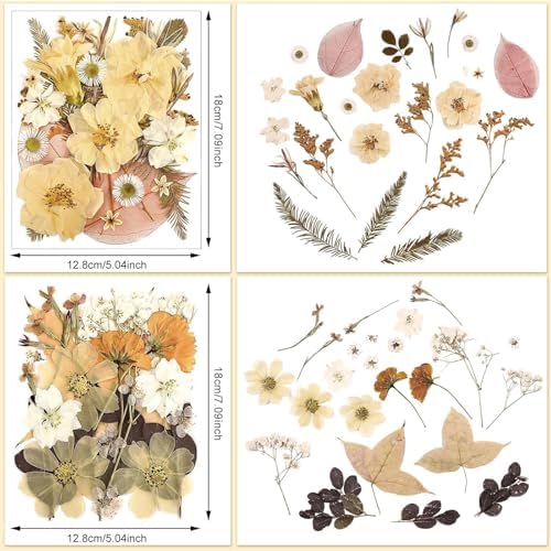 Nuanchu Boho Beige Dried Pressed Flowers for Craft Resin Mold, Vintage