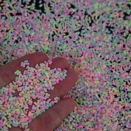LIKETURE Fake Sprinkles 110G Non-edible Polymer Clay Sprinkles Fake Candy Sprinkles Slime Sprinkles Faux Sprinkles for Resin Slime Add Ins Plastic Sprinkle Nail Art Shaker Card Filler (Rose)
