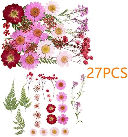 Cayway 4 Style Pressed Flowers Natural Dried Flowers Colorful Resin Flowers Real Pressed Flowers with Butterfly Sticker for Resin Scrapbooking DIY Art Crafts, Epoxy Resin Jewelry Supplies