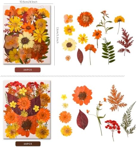 5 Packs 140 Pressed Dried Flowers & Leaves, Fall | Assorted Natural Dry Flowers, DIY Crafts, Resin Jewelry, Card Making, Soap, Candles, Nail Art, Scrapbooking