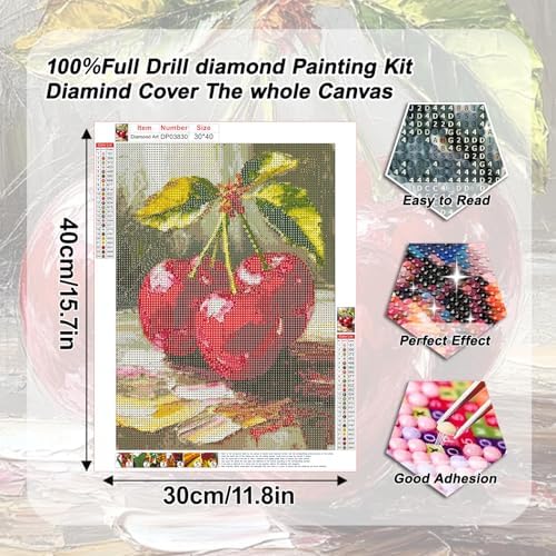 AIBOERL Diamond Art Kits for Adults,Cherry Diamond Painting Wall Decor | Round Drill Vintage Cherry Diamond Painting for Beginners DIY Rhinestone 5D Diamond dots(Gemstone Craft)Wall Art Gift 12x16IN