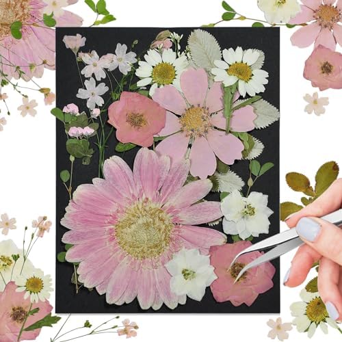 Pink Dried Pressed Flowers, Real Nature Flowers with Tweezers