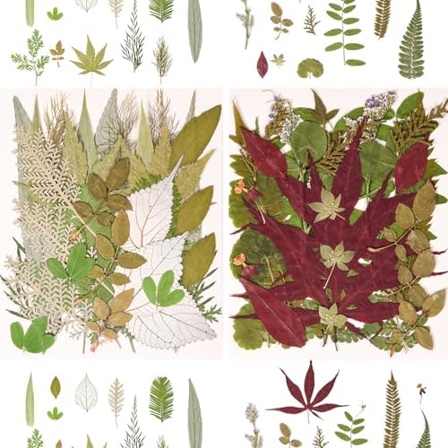 100 PCS Real Pressed Dried Leaves with Tweezers | Natural Dried Flowers, For Resin, Candle, Jewelry, Scrapbooking & DIY Crafts, Leaves 100