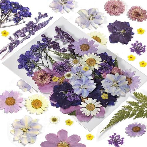 Pressed Flowers Purple 33 Pcs of 12 Types