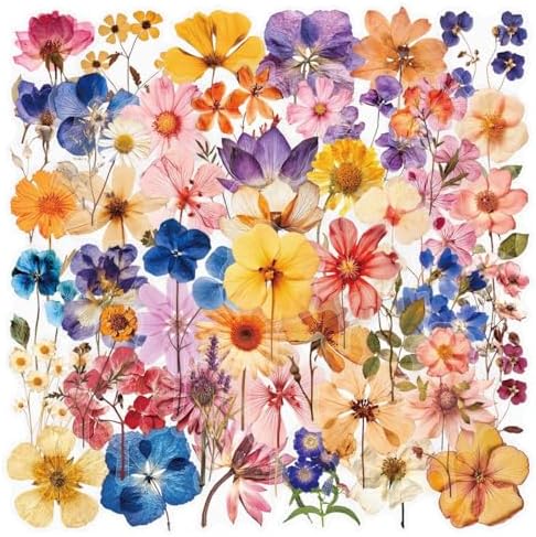 50PCS Transparent Flora Scrapbook Stickers, Vintage Aesthetic Flowers Sticker for Scrapbooks Travel Journal, Vinyl Waterproof for Water Bottles Laptop Phone Scrapbook Supplies DIY Crafts, (Flower-C)
