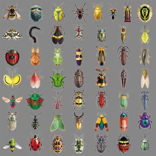 50Pcs Realistic Insect Vinyl Stickers Set