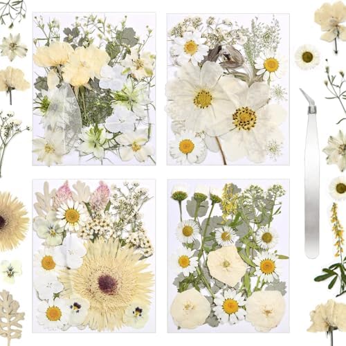 Dried Flowers for Resin