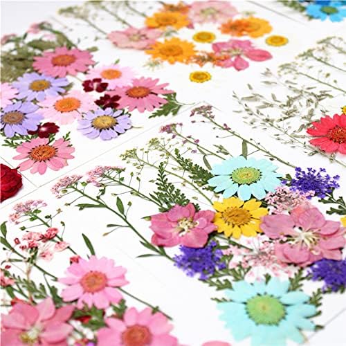 Cayway 8 Pack Dried Flowers for Resin Molds, Real Natural Dried Pressed Flowers, Natural Dried Pressed Leaves with Butterfly Sticker for Scrapbooking DIY Art Crafts, Jewelry