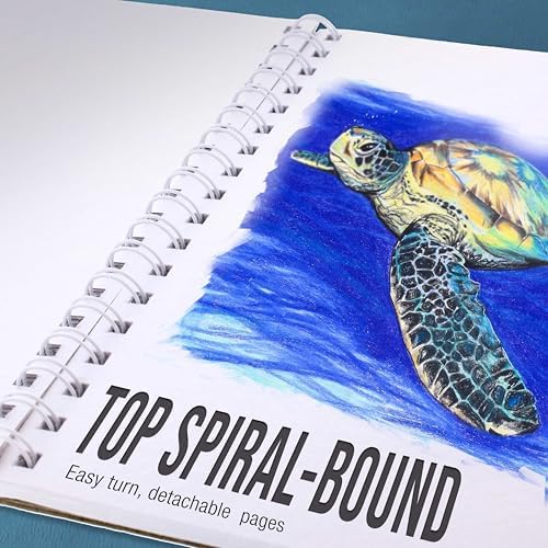 U.S. Art Supply 11”x 14" Premium Heavy-Weight Paper Spiral Bound Sketch Pad