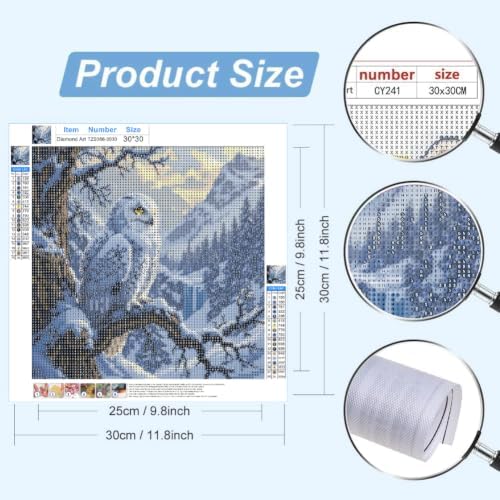 WCHUIMM 5D Owl Diamond Art Painting Kits for Adults, Crystal Rhinestones Diamond Painting, Gem Art Diamond Dots Crafts for Beginners DIY, Home Wall Christmas Decor Gift, 12x12inch