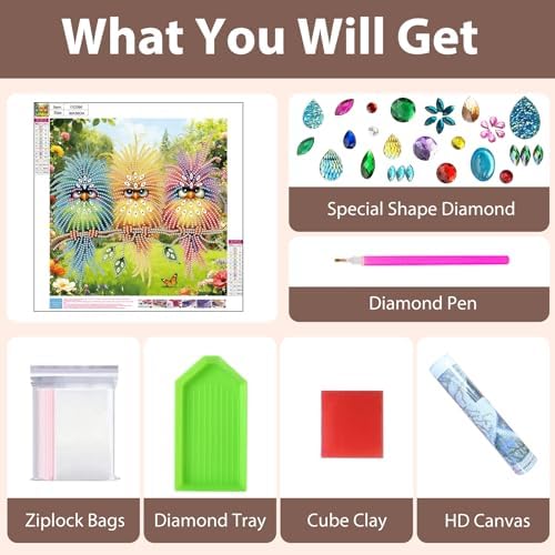Bird Special Shape Diamond Art Kits for Adults Beginners