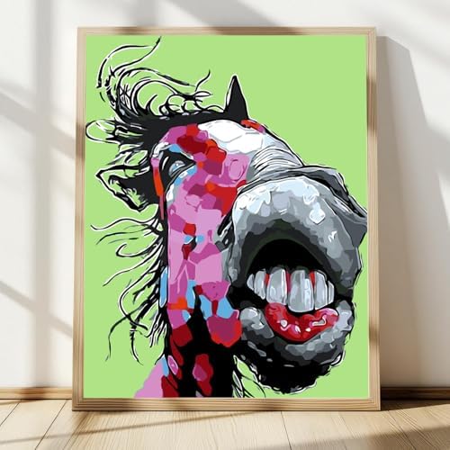 Paint by Numbers Kit for Adults Beginners,Abstract Horse(16x20 inches)