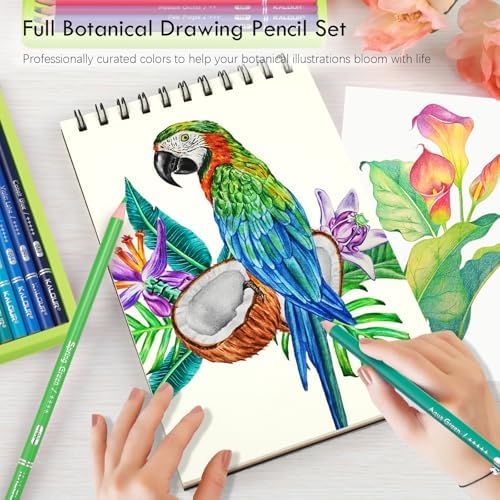 KALOUR PDAS 36-piece Green Botanical Colored Pencil Set, Pre-sharpened Wooden Colored Pencils for Adults Artists Beginners Coloring Books Drawing & Sketching