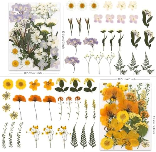 LUXEEASE 4 Color 110P Long Stem Dried Pressed Flowers | Long stems for line work, cut to any length, mixed tones, for resin scrapbook jewelry candle decor, tweezers included